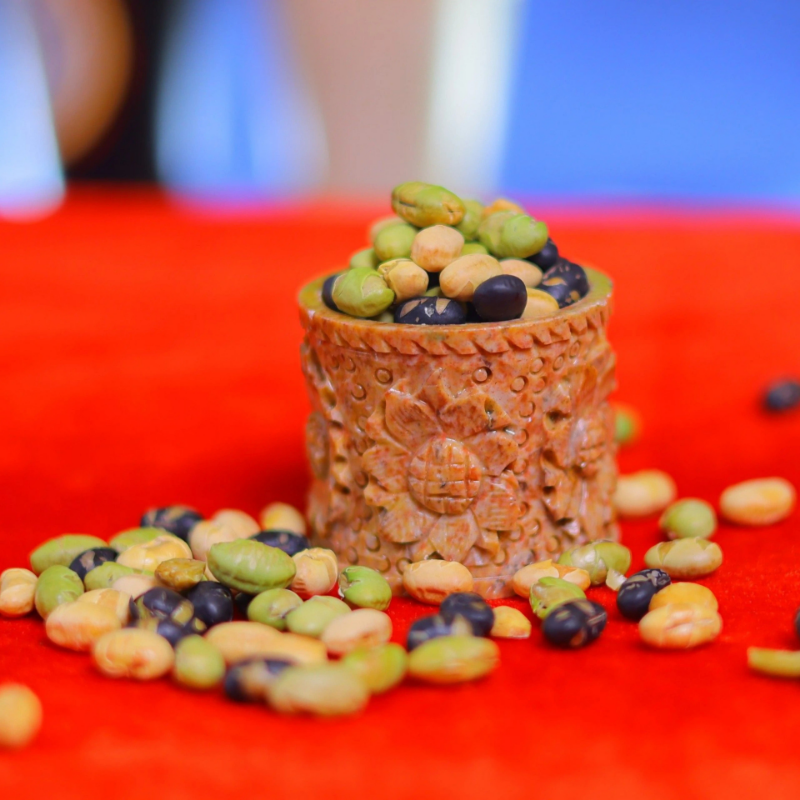 Protein Beans