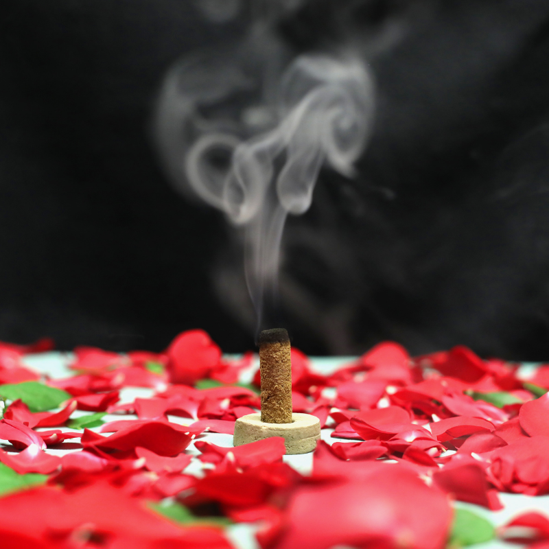 Rose Dhoop